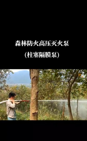 1428e9f9ea084ffc1a07efccfc315b0.png 1428e9f9ea084ffc1a07efccfc315b0.png