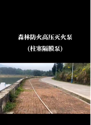 4969c7ca8f61d78bfc1102fe7ca8e26.png 4969c7ca8f61d78bfc1102fe7ca8e26.png